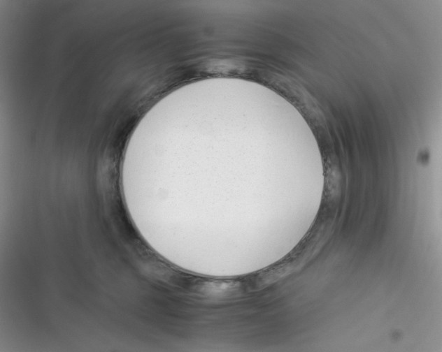 X0000116390375201001131835