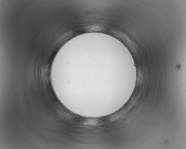 X0000116390377201001131835