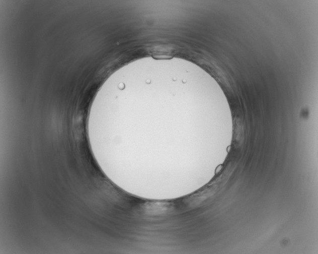X0000116390378201001131835