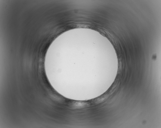 X0000116390379201001131835