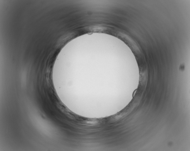 X0000116390381201001131835