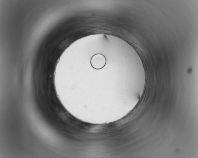 X0000116390382201001131835