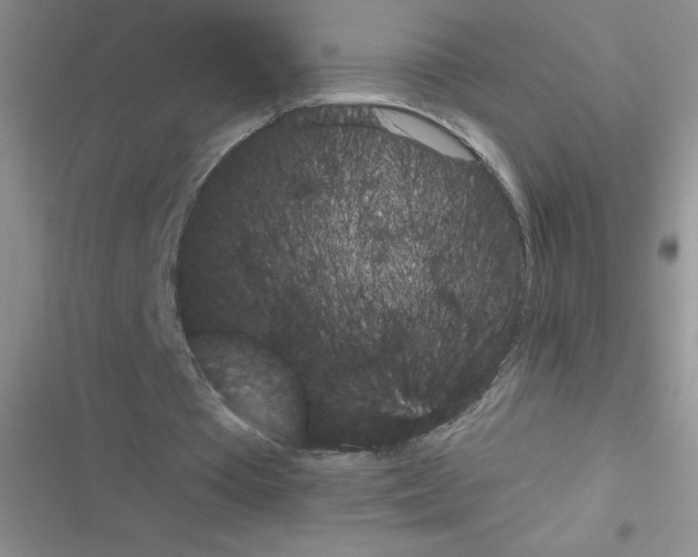 X0000116390385201001131834