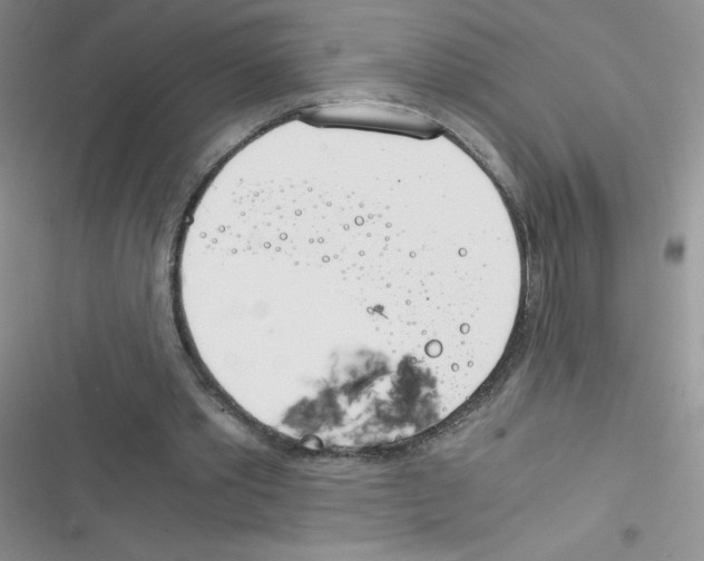 X0000116390389201001131834