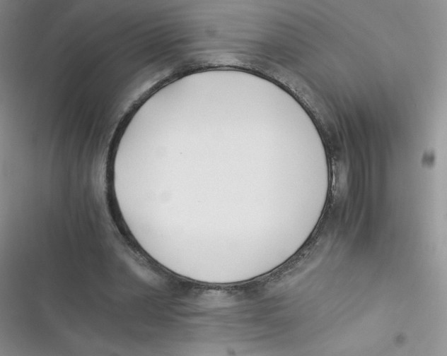 X0000116390390201001131834