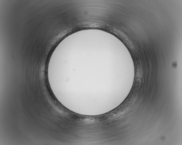 X0000116390394201001131834