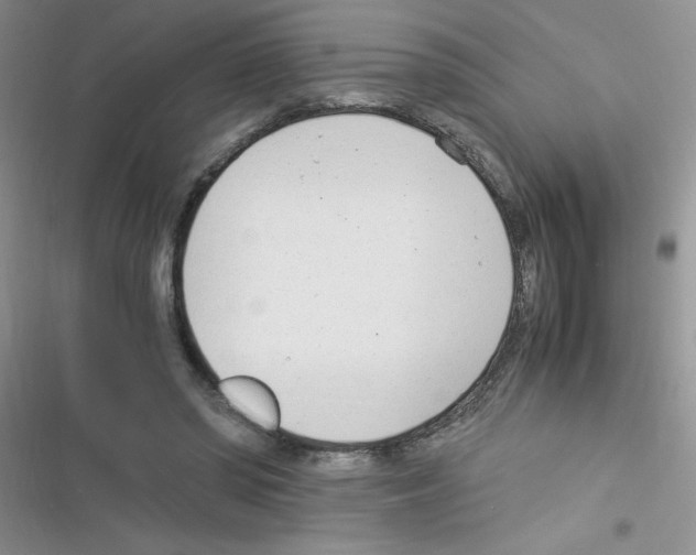 X0000116390398201001131834