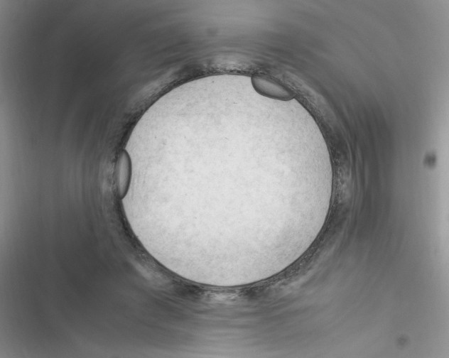X0000116390401201001131834