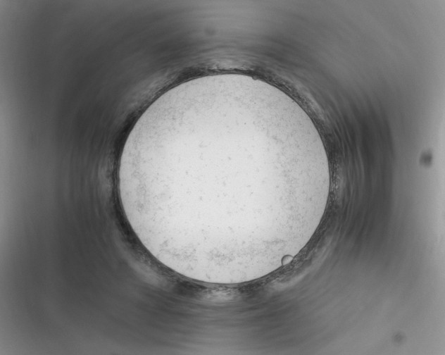 X0000116390402201001131834
