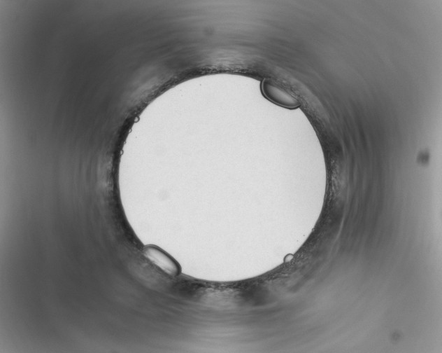 X0000116390403201001131834