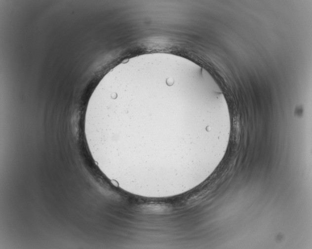 X0000116390404201001131834