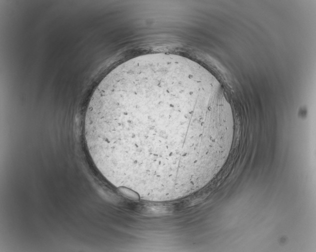 X0000116390405201001131834