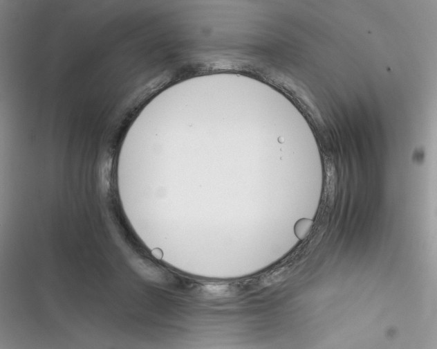 X0000116390406201001131834