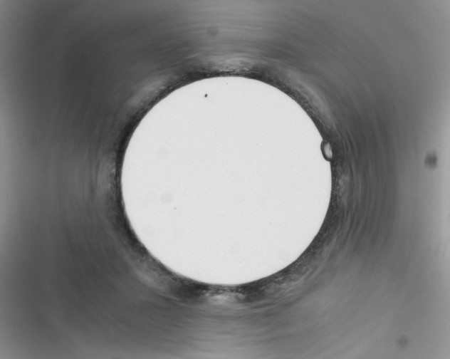 X0000116390407201001131834