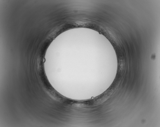 X0000116390408201001131834