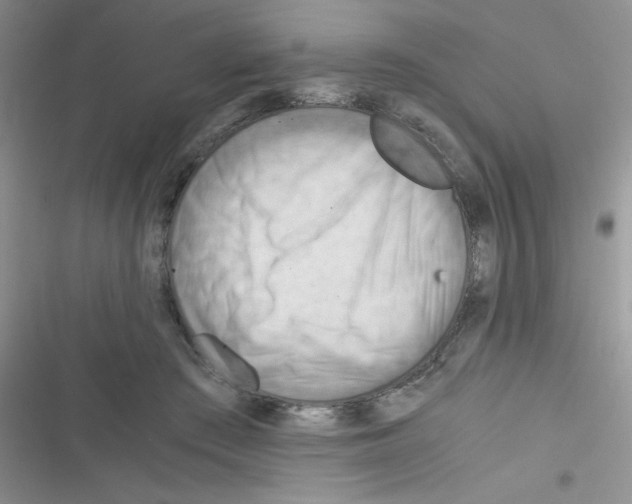 X0000116390409201001131834