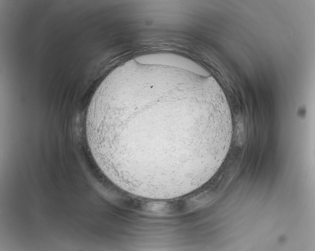 X0000116390410201001131834