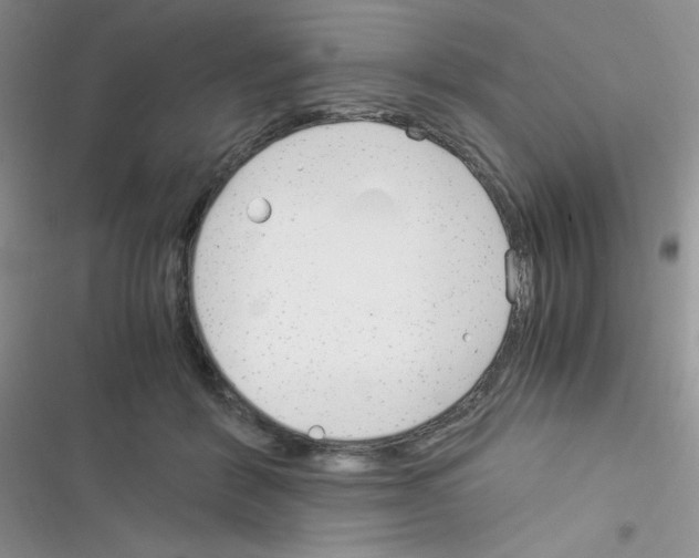 X0000116390412201001131834