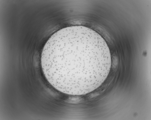 X0000116390414201001131834