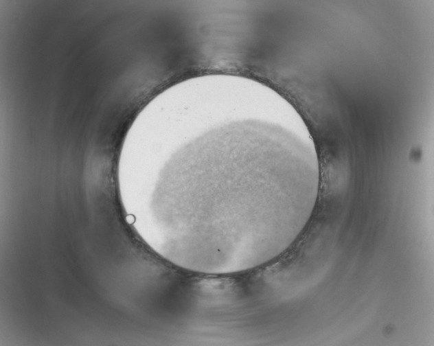 X0000116390415201001131834