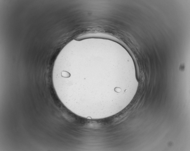 X0000116390416201001131834