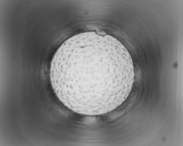 X0000116390418201001131834