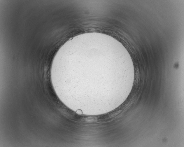 X0000116390420201001131834
