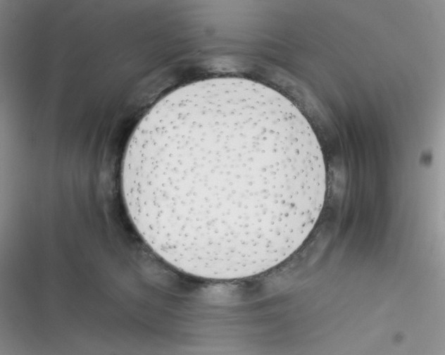 X0000116390422201001131834