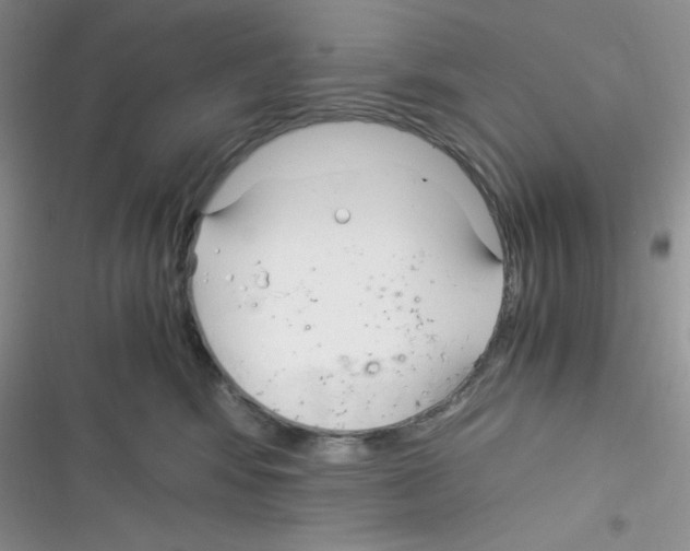 X0000116390424201001131834
