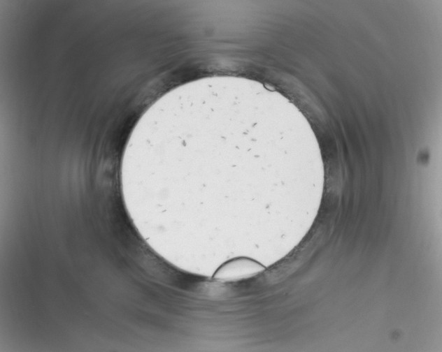 X0000116390425201001131834