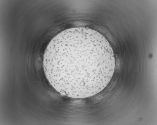 X0000116390426201001131834