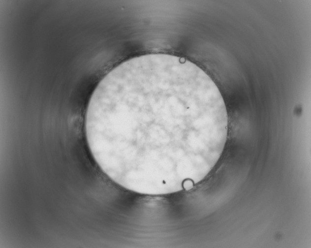 X0000116390427201001131834