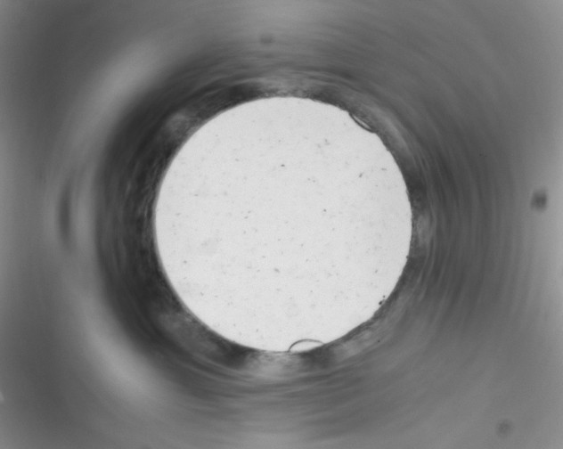 X0000116390429201001131834