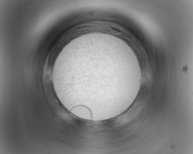 X0000116390431201001131834