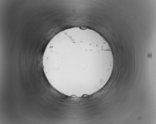 X0000116390432201001131834