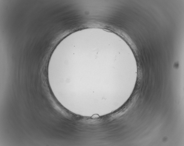 X0000116390433201001131833