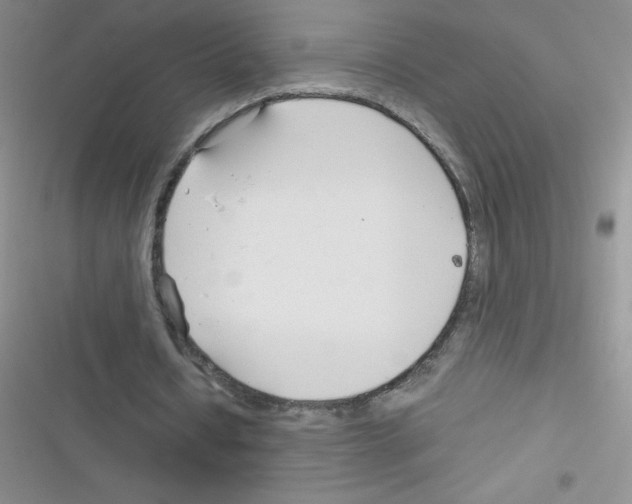 X0000116390434201001131833