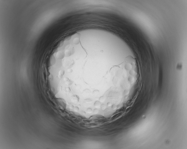 X0000116390435201001131833