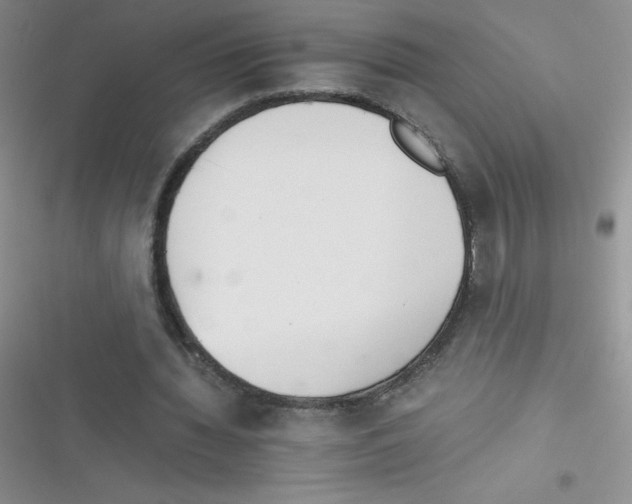 X0000116390436201001131833