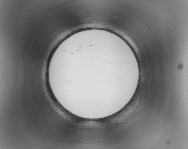 X0000116390437201001131833