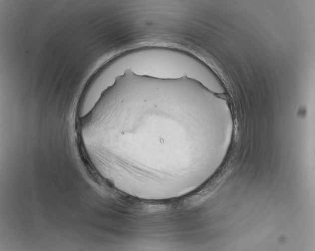 X0000116390438201001131833