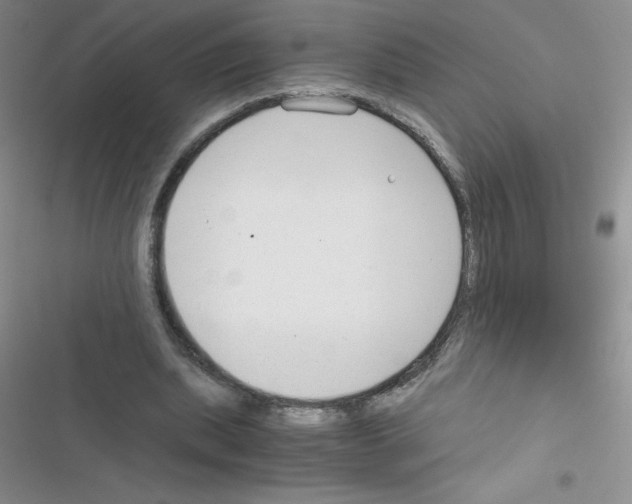 X0000116390439201001131833
