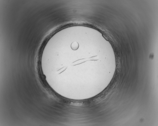 X0000116390440201001131833