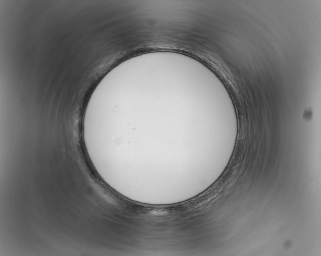 X0000116390441201001131833