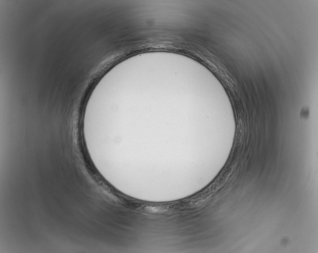 X0000116390442201001131833