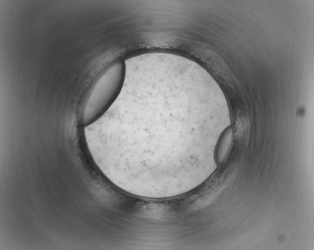 X0000116390444201001131833