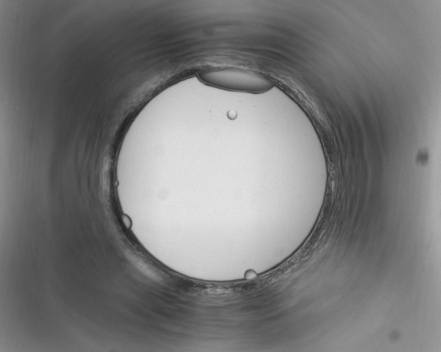 X0000116390445201001131833