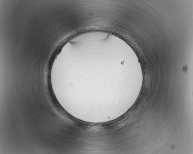X0000116390446201001131833