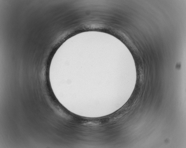 X0000116390447201001131833