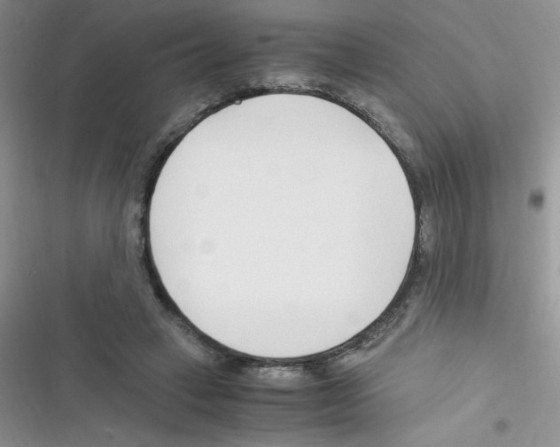X0000116390449201001131833